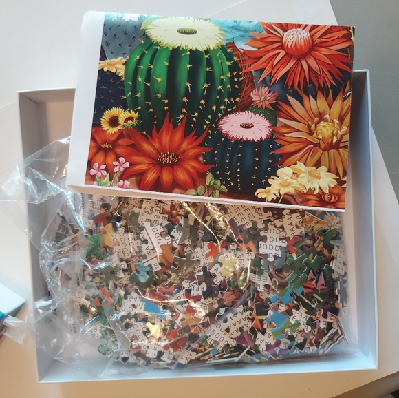 1000 piece Cactus Garden puzzle - Picture 6 of 7